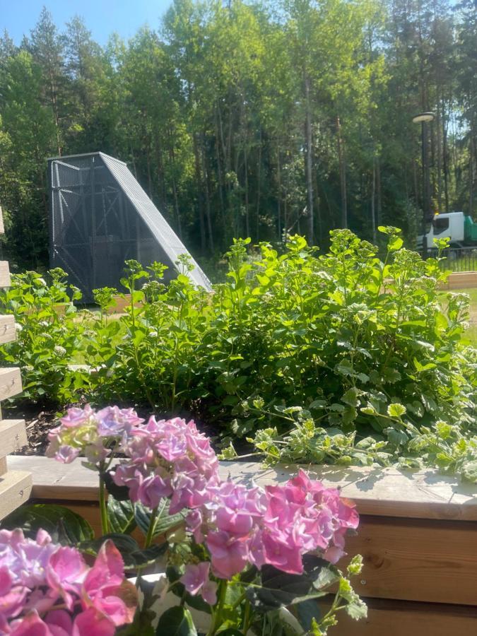 Haalia Homes Turku Paeaeskynpesae Bagian luar foto